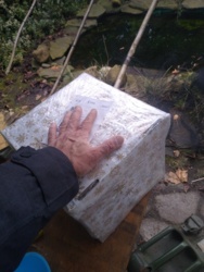 f17a643c-6811-40e4-af90-0ceeaac91787