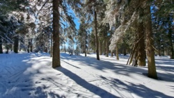 e74efb69-1100-4d6d-abd3-e99f19b4e471