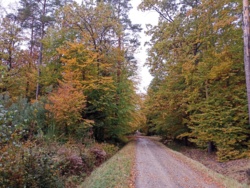 cadf3676-38a5-4540-8d29-adbc607c670b