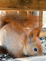 8602c6a7-6969-4aee-8b25-e50c459ceee0