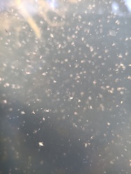 0c025ca1-cd88-4886-be00-107faebb6bd8