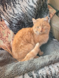 33980566-8020-4276-a115-c373ab972d5d