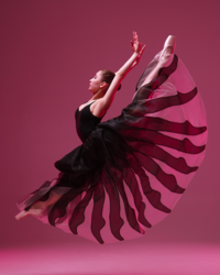 030e4007-4592-465b-b3e3-dbc950d5cd9a