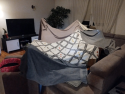 75a7a845-da54-48cd-a38a-9919020dd5dd