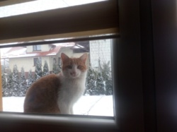 9daef7a9-b4c7-477e-83a0-21dc7dfb40e1