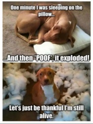 fbc5d8b7-a36a-421e-aa6f-05a4f58de245