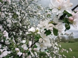 5e1553a4-ebe8-4cd8-b3bc-893fecdb4cef