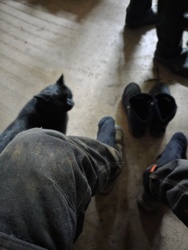 eac199bf-7ea0-4740-ae1b-5bc12a92daae