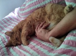 cdc89ad3-d565-477f-a67e-d7269a27950c