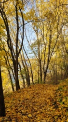 6f7959ab-8b5a-41a8-8e0b-dcc190d58591