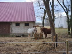 2cb6a6df-6c96-4ba6-8d54-b0116e363fba