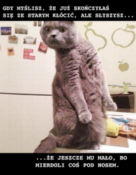 cf4e59b5-1243-4e5b-80db-42ca24ab54f2