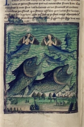 d4e4250d-11bd-4f08-af23-2eea07e9fc3b