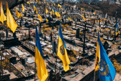 657de882-df40-4a65-8eb1-9b7277381ff5