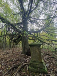 e3dac2ea-79e5-4568-ba0c-5a63f9825a8f