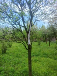 be65ba06-5692-415b-91c2-ad904776f696