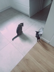 a0a8a8bf-d680-4ab8-8330-e92393a115ed