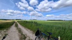 dbb5d0b0-38f3-44a2-b307-15a6dd0a1e8d