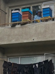 9ab5ba29-e13b-4016-a31d-ff0eaf330d6b