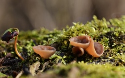 39ece99e-7690-497a-bc6c-0b540c997812