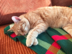 93b17111-8f1d-49e1-9f53-ca8120d787b4