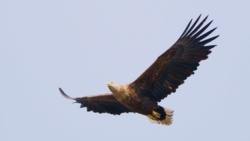 3222619c-1d5f-4810-9829-df220ea716cb