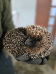 d3962da0-96e2-475f-a912-a688d8ef731e