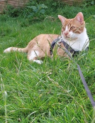 b18adec1-1e9c-4f8e-b3f7-6c1040cff911