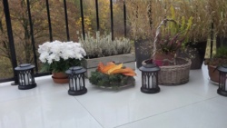 051bf521-8290-4f2b-9516-68733e70669d