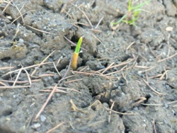 b95fb132-2d08-49a5-932b-ce51cbd020d0