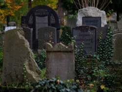 12e818bf-6f40-4e6a-a1e5-025a63525d46