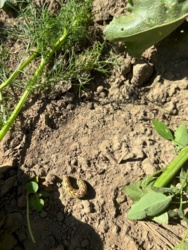 8215afe8-39f3-42df-a435-b56f6081949e