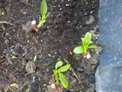 73ab2d75-a6e1-4e09-b4e7-8030216876fb