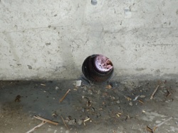 04310708-d576-4854-9507-def7fd6decf1