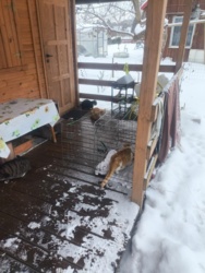 80b697d8-a492-46e1-9ec9-29af8d797f1f