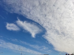 5cc5a91e-ff23-4776-9b6a-a4966a2b778b