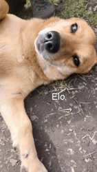 ec38970e-bb2d-40ce-98bb-af4d7151fc22