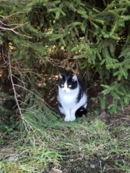 ef89dd24-63e5-4ab4-ae3a-297a787b9ace