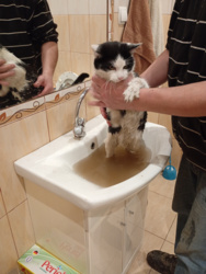 7753b536-6f37-40aa-b5fa-28b8a8348147