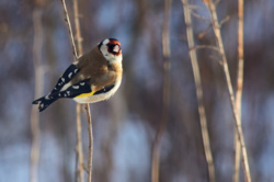 6509c948-a2f2-49d7-b3fe-44dd377cfdc3