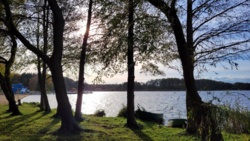 59e9e3c2-3bb1-4f63-8381-5c261702f0eb