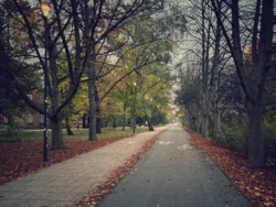 3276113d-b24d-4e75-85a2-edcfab27cf2a