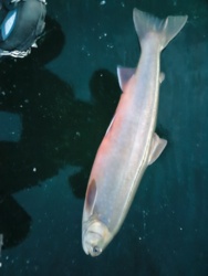 7bd80f87-25ec-41ed-bc6e-c769f9fe59b5