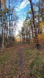 d263f6fd-041a-4d92-b2d5-6edfe11dfe40