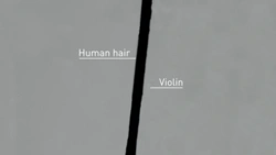 a6db47a9-2d10-4cc2-834d-fe9e7cc3c46d