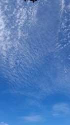 89e8455f-d24c-43af-84f6-53161f11f6c8