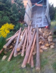 9a1d9231-5525-4b8b-92ad-3fcfdedc32a7