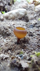 c670d001-5d3f-419e-9840-b89b62e986f4