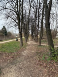 33097892-6389-49a5-91ff-216515f3e7c4