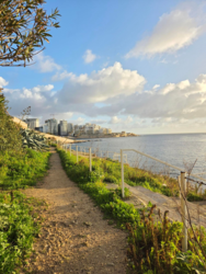 959138df-19ea-4349-8c8d-3ffe3169452c